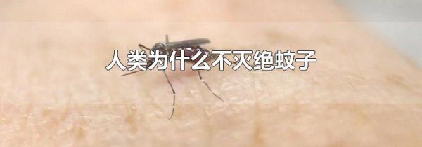 人类为什么不灭绝蚊子