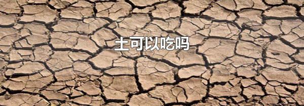 土可以吃吗
