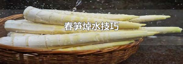 春笋焯水技巧