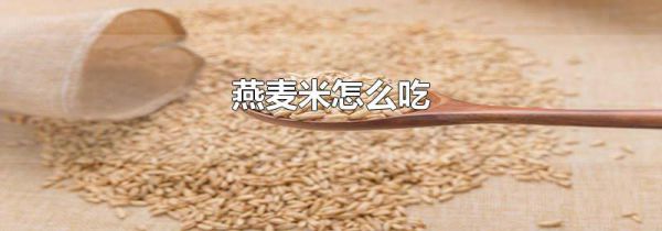 燕麦米怎么吃