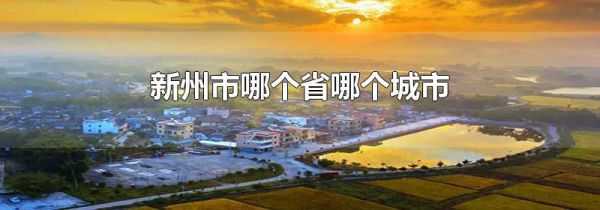 新州市哪个省哪个城市