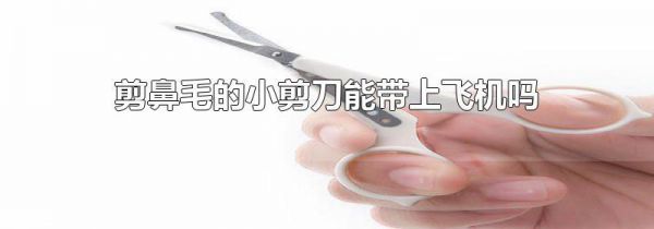 剪鼻毛的小剪刀能带上飞机吗