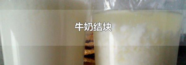 牛奶结块