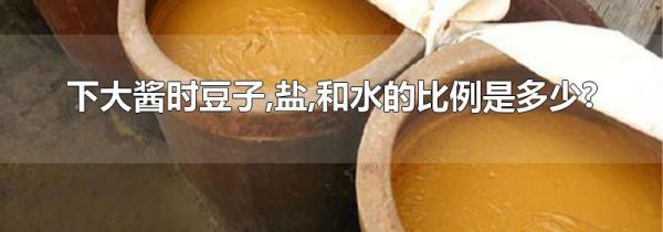 下大酱时豆子,盐,和水的比例是多少?