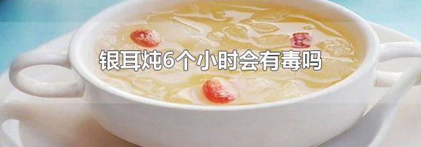 银耳炖6个小时会有毒吗
