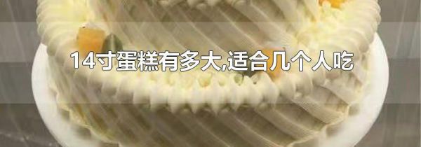 14寸蛋糕有多大,适合几个人吃