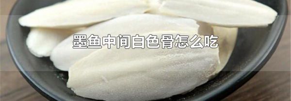 墨鱼中间白色骨怎么吃
