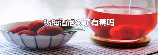 杨梅酒泡久了有毒吗