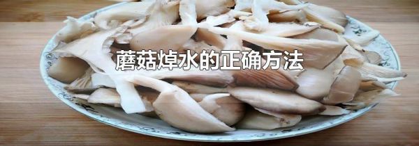 蘑菇焯水的正确方法