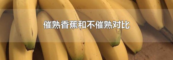 催熟香蕉和不催熟对比