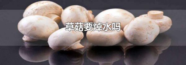 草菇要焯水吗