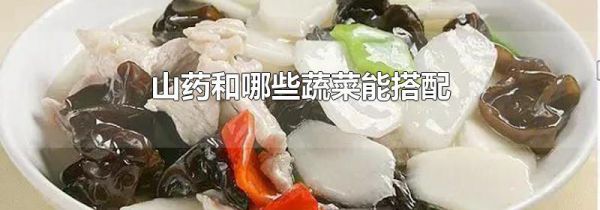 山药和哪些蔬菜能搭配