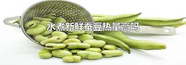 水煮新鲜蚕豆热量高吗