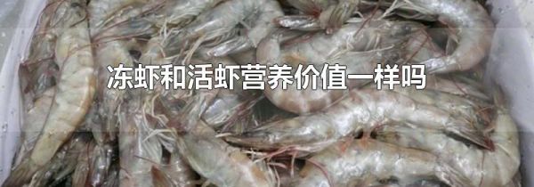 冻虾和活虾营养价值一样吗