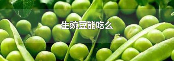 生豌豆能吃么