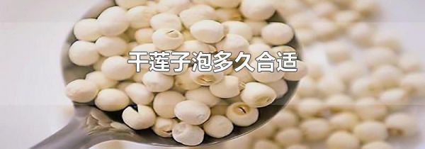 干莲子泡多久合适