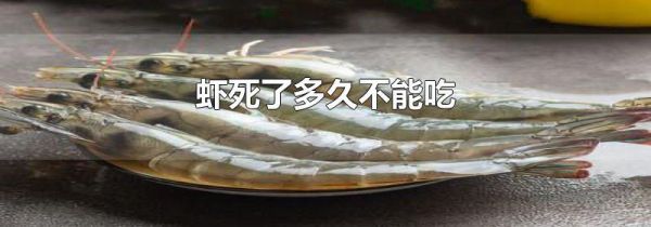 虾死了多久不能吃