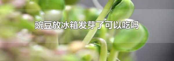 豌豆放冰箱发芽了可以吃吗