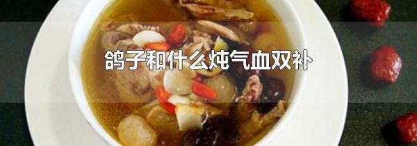 鸽子和什么炖气血双补