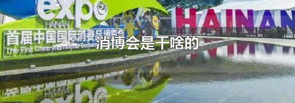 消博会是干啥的