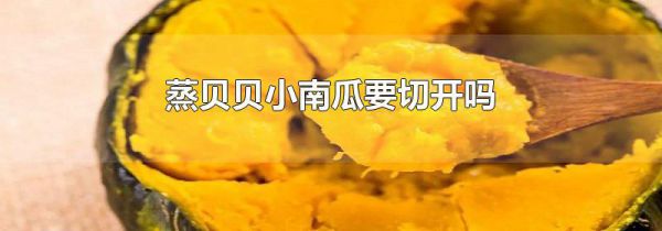 蒸贝贝小南瓜要切开吗