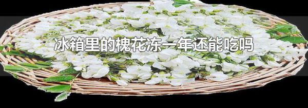 冰箱里的槐花冻一年还能吃吗