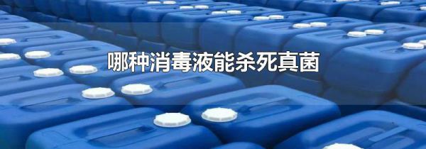 哪种消毒液能杀死真菌