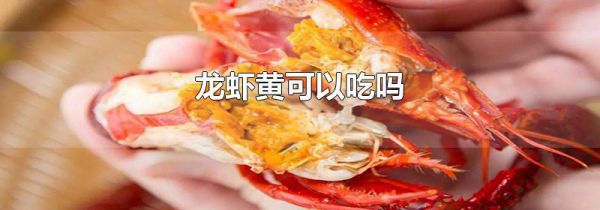龙虾黄可以吃吗