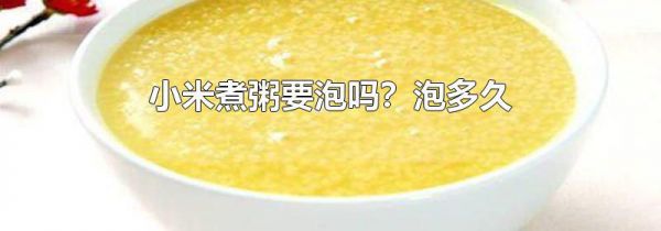 小米煮粥要泡吗?泡多久