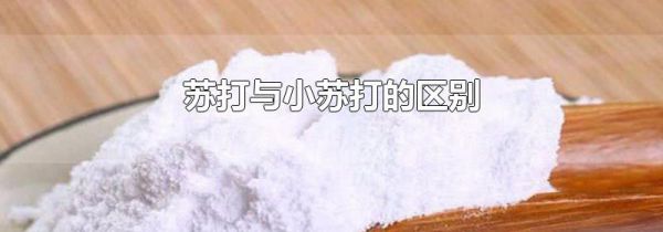 苏打与小苏打的区别