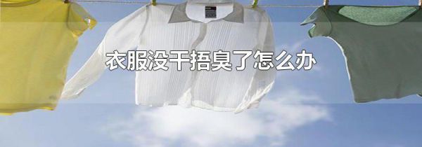 衣服没干捂臭了怎么办