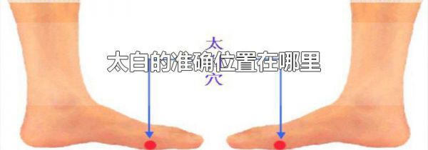 太白的准确位置在哪里