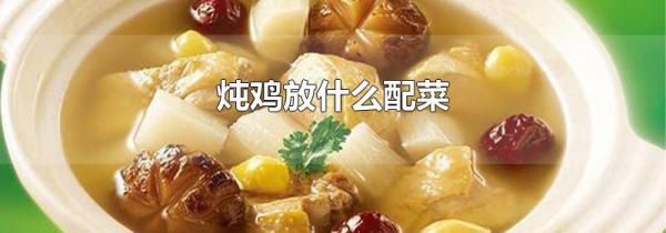 炖鸡放什么配菜