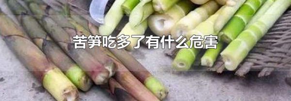 苦笋吃多了有什么危害