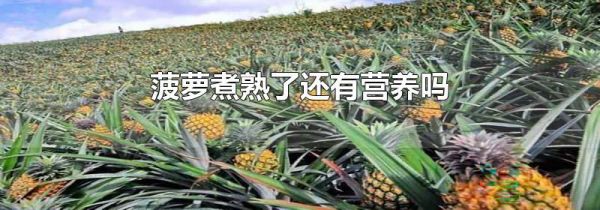 菠萝煮熟了还有营养吗
