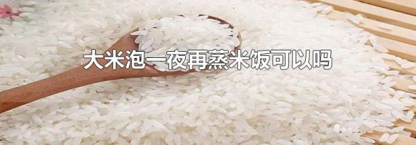 大米泡一夜再蒸米饭可以吗