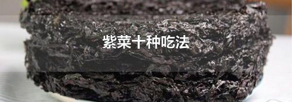 紫菜十种吃法