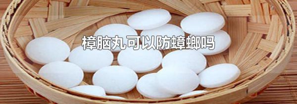 樟脑丸可以防蟑螂吗