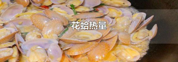 花蛤热量