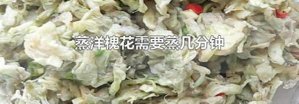 蒸洋槐花需要蒸几分钟