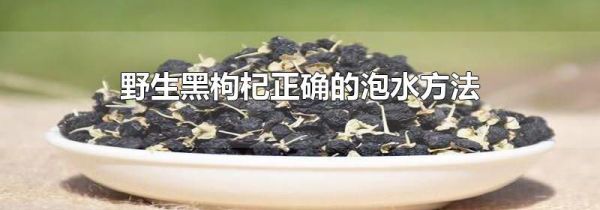 野生黑枸杞正确的泡水方法