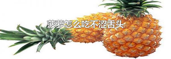 菠萝怎么吃不涩舌头