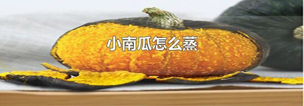小南瓜怎么蒸
