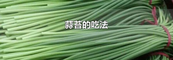 蒜苔的吃法