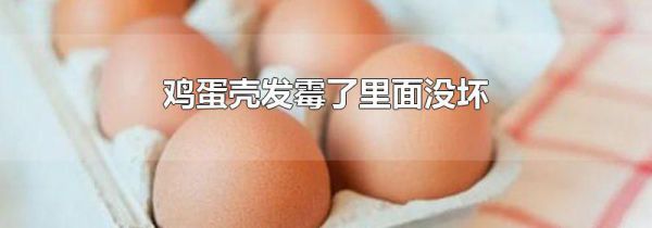 鸡蛋壳发霉了里面没坏
