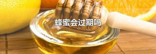 蜂蜜会过期吗