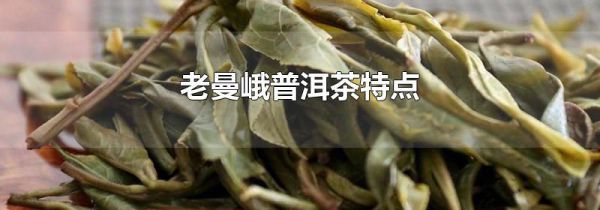 老曼峨普洱茶特点