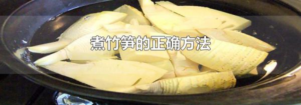 煮竹笋的正确方法
