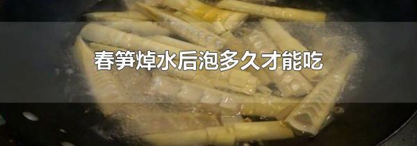 春笋焯水后泡多久才能吃