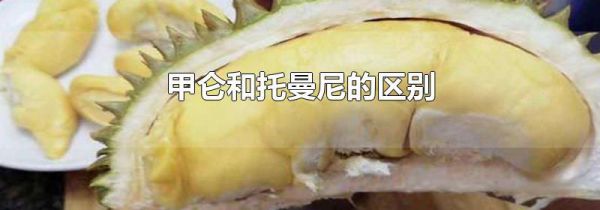 甲仑和托曼尼的区别